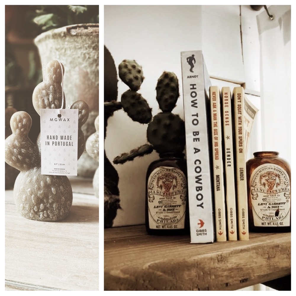 Cactus Candles - Picture 3 of 12